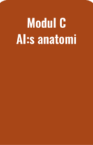 AI Anatomi