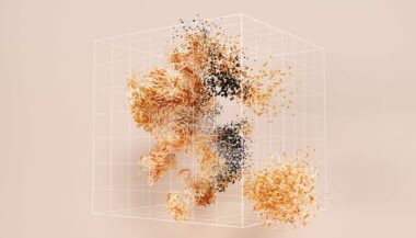 Modul D - Framtid