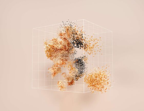 Modul D - Framtid